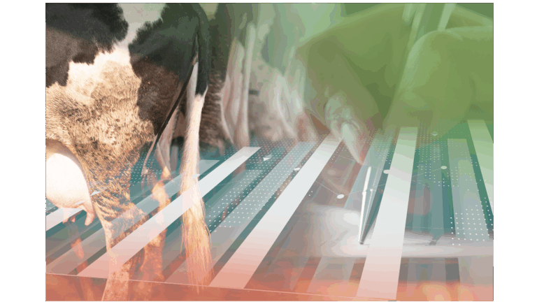 Academy training monomestvergisting & groen gas