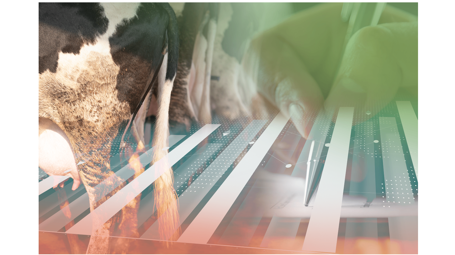 Academy training monomestvergisting & groen gas