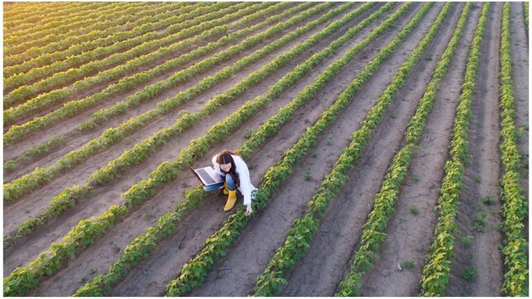 Nieuw: practoraat Beroepsonderwijs en agrotransitie