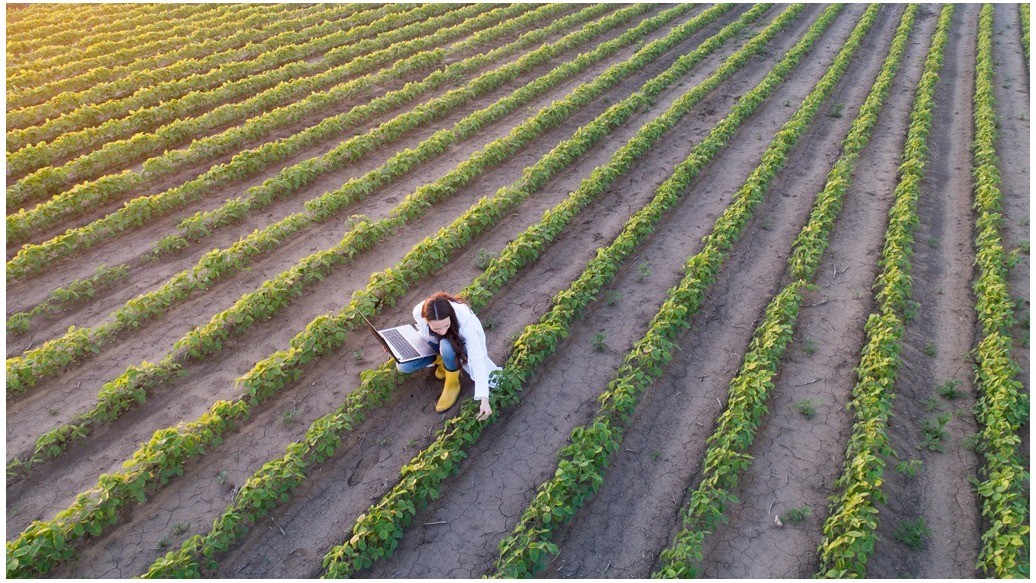 Nieuw: practoraat Beroepsonderwijs en agrotransitie