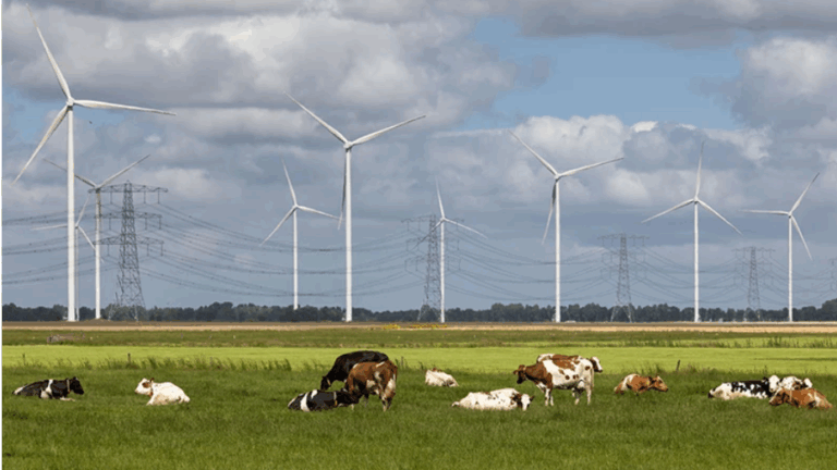 Stickstoff-Konjunkturpaket: Was können Sie vom Zielmanagement erwarten?