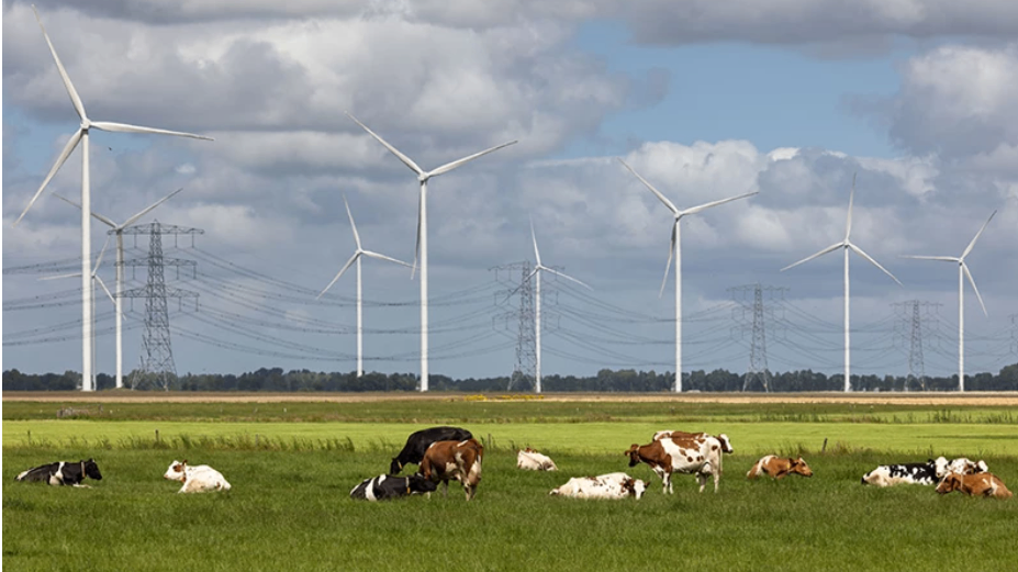 Stickstoff-Konjunkturpaket: Was können Sie vom Zielmanagement erwarten?