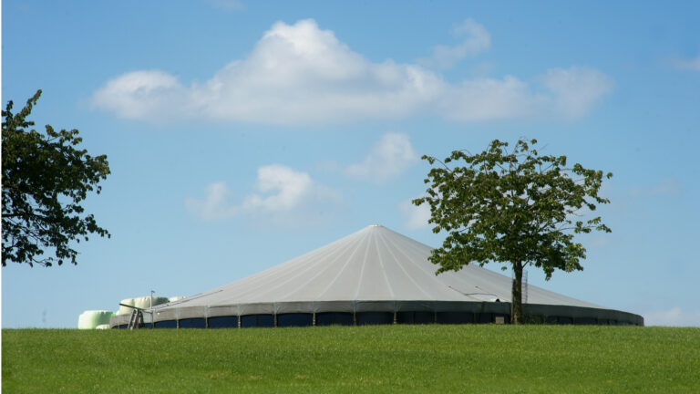 Gülle und Mineralien