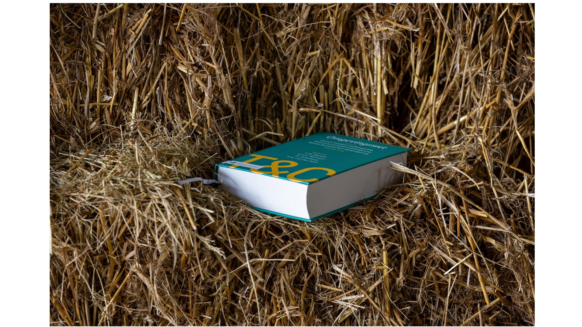 Jurist Omgevingsrecht