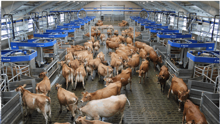 DeLaval VMS™ Batch Milking