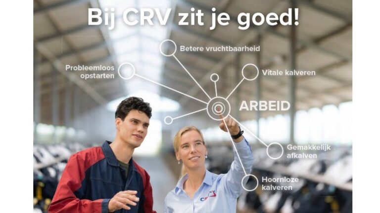 Bij CRV zit je goed! Arbeid & Rendement