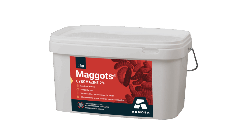 Maggots 5kg