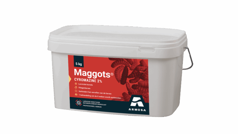Maggots 5kg