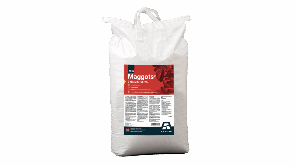 Maggots 25kg