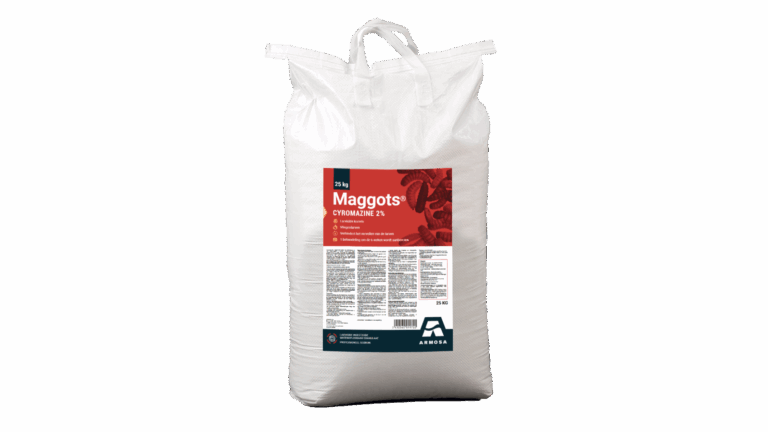 Maggots 25kg
