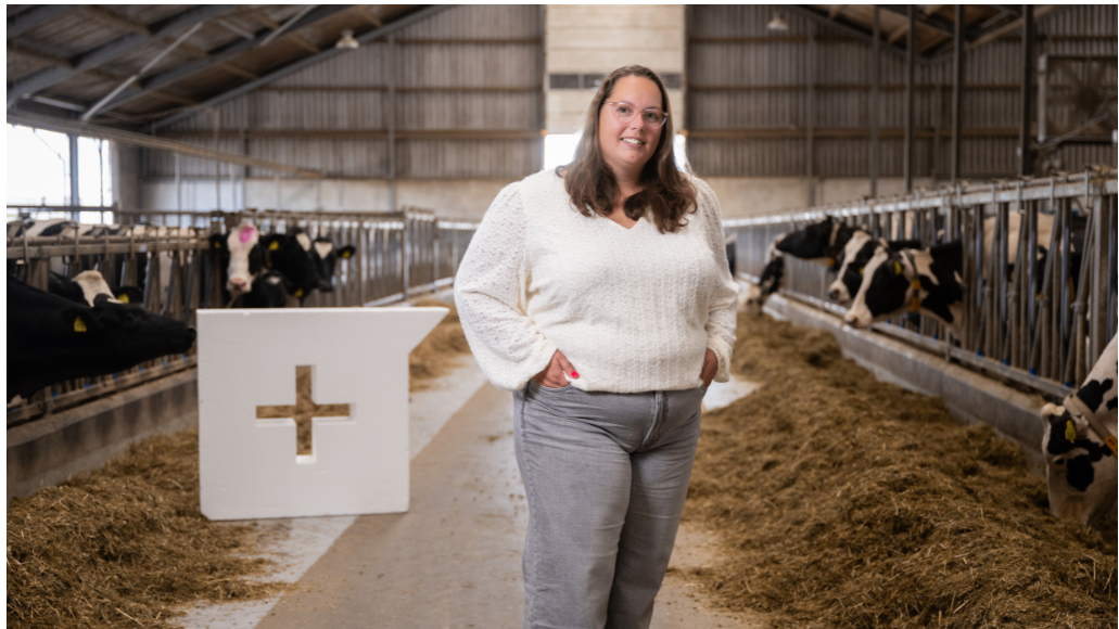 Assistent Accountant Agro