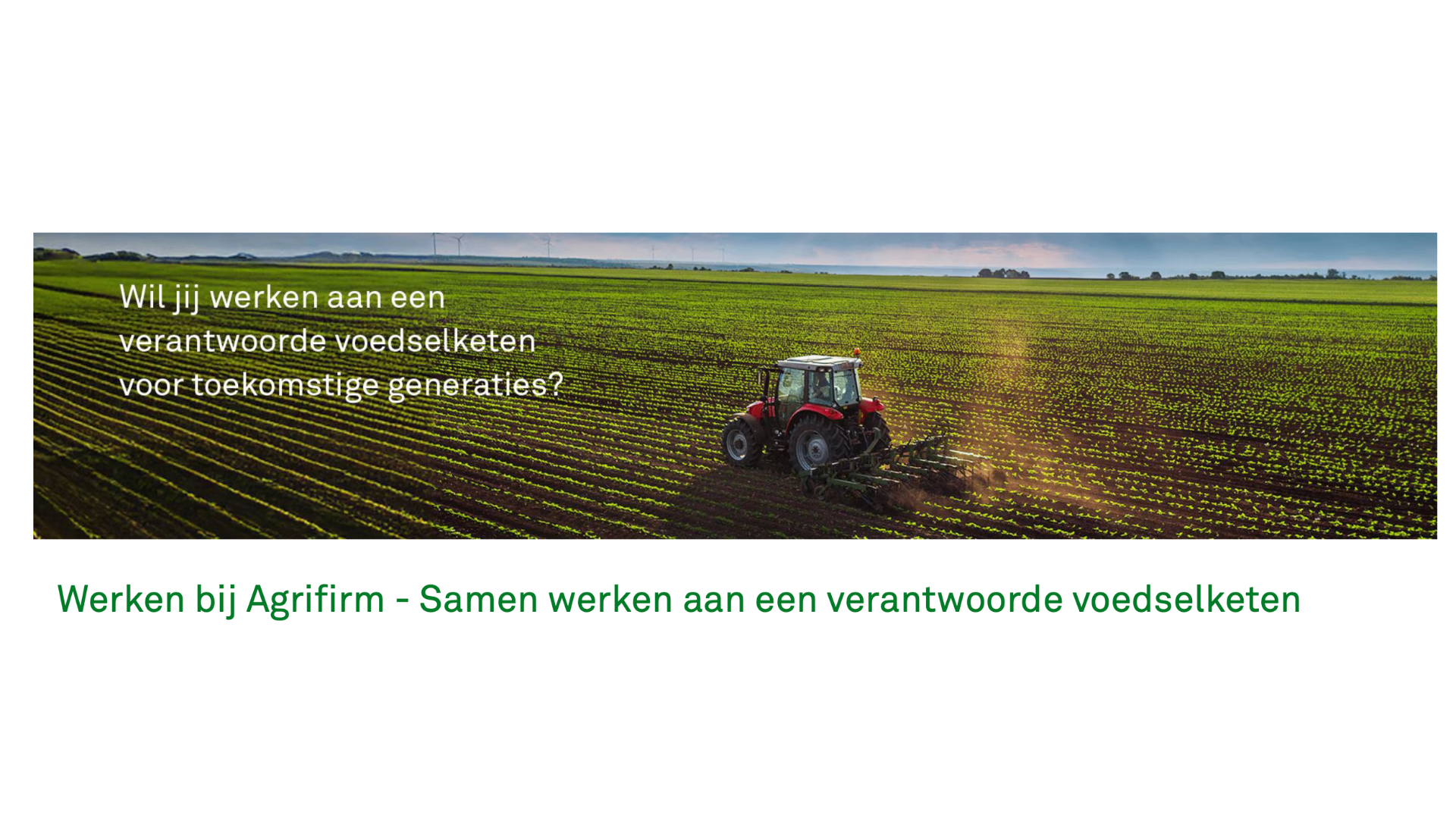 Productmanager Jongvee