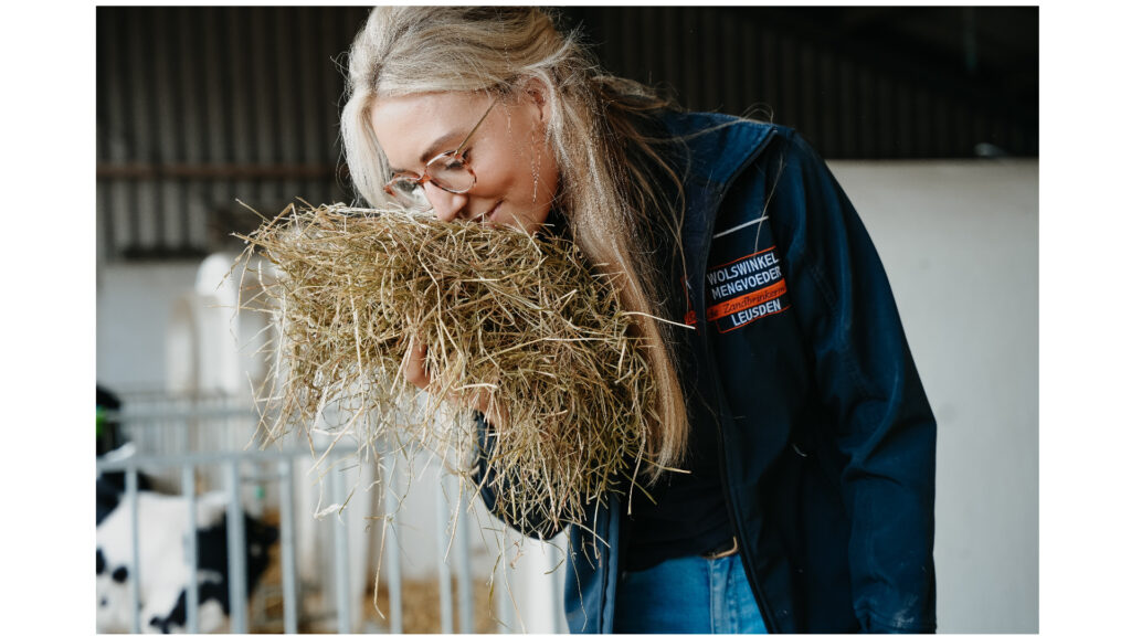 Ruwvoer en inkuilmiddelen