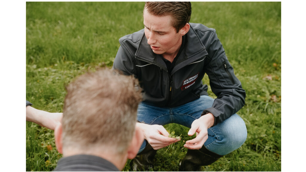 Zaaizaden en Meststoffen