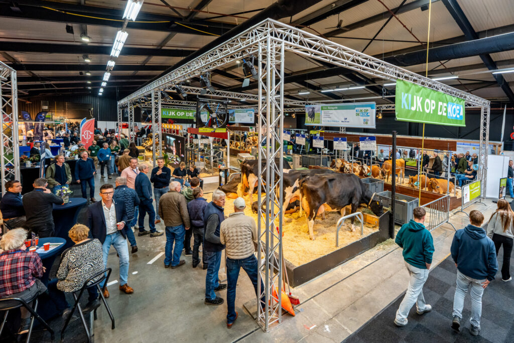 Bezoekers bekijken koeien op een drukke landbouwbeurs