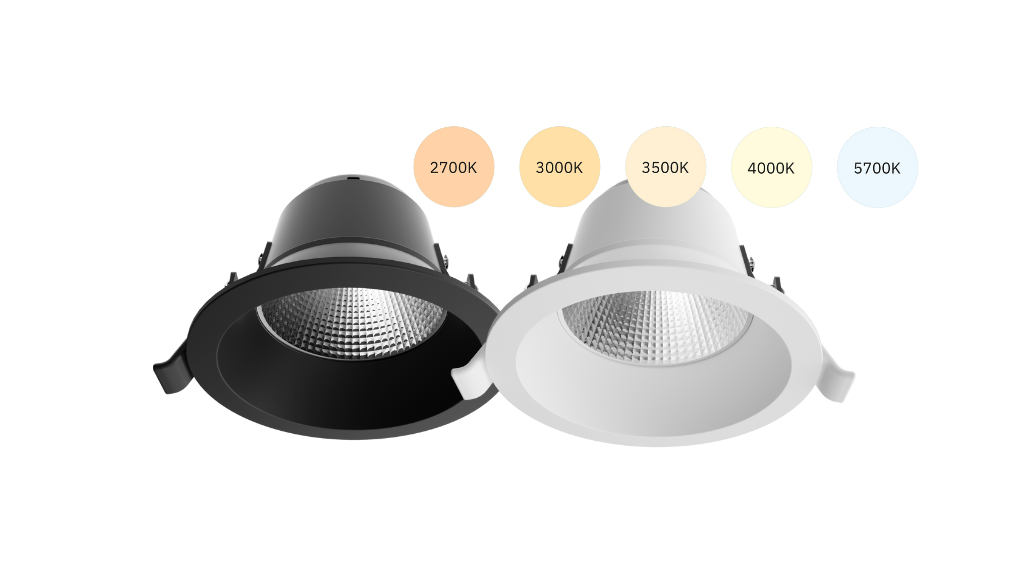 Downlight | zwart of wit | 5-CCT | driver/eurostekker/GST18I3