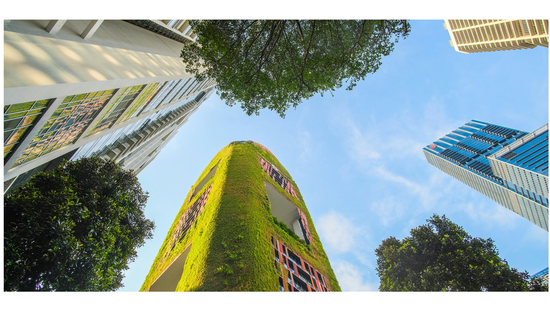 Ons eerste product staat in de NMD!