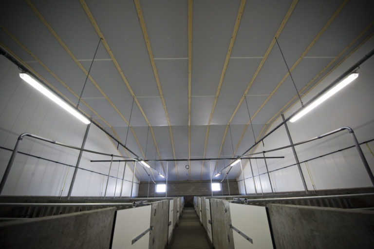 ASW-PIR FR PLUS fire-retardant insulation