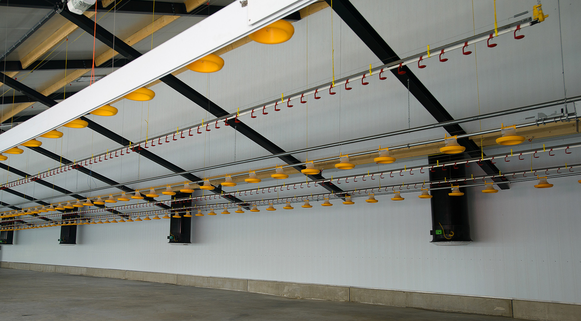 Bouwplast-plus (FR) panelen