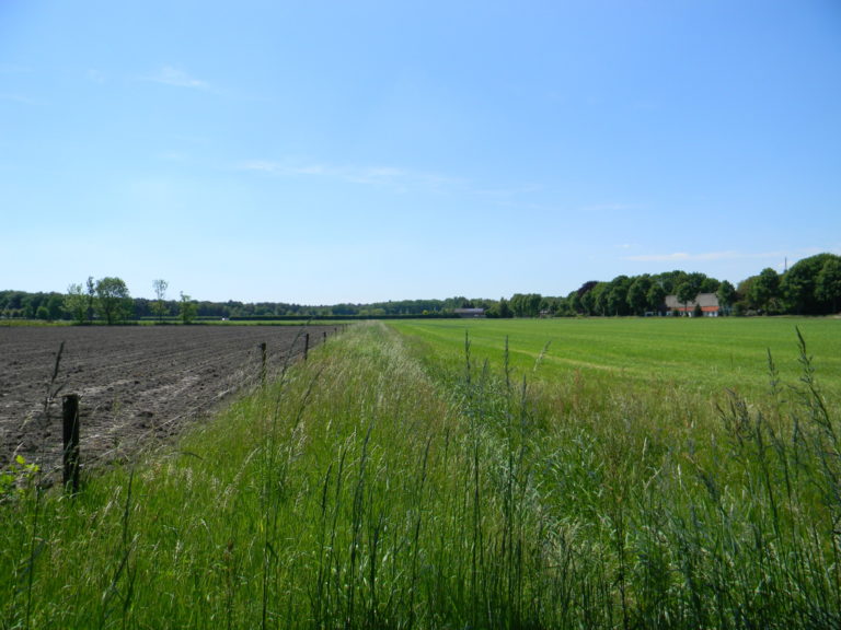 Ruimtelijke ordening, ontwerp, bouwkunde, milieukunde, omgevingsrecht, vastgoed en grondzaken