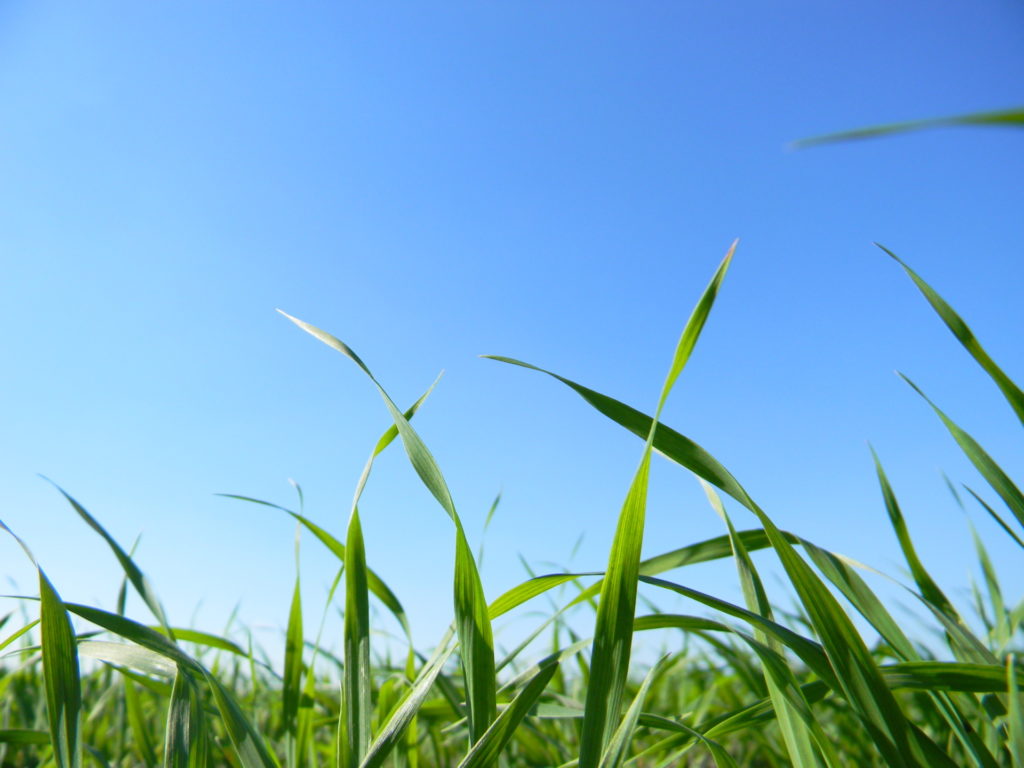Uw deskundige partner in het buitengebied