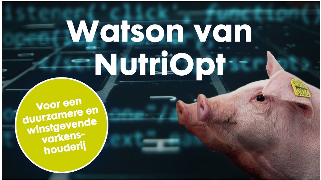 Watson