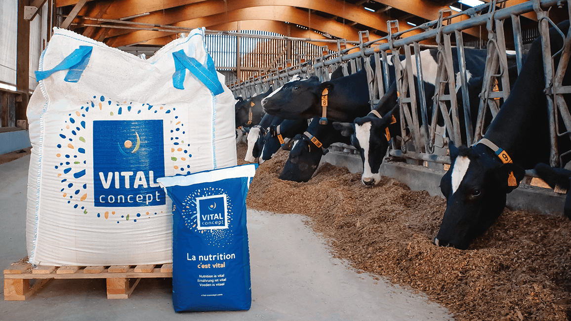 Vitasec+ hygiënepoeder