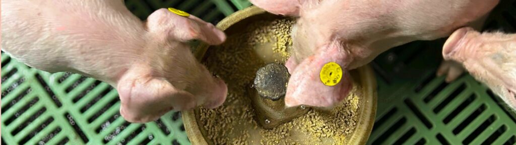 Booijink Veevoeders B.V.