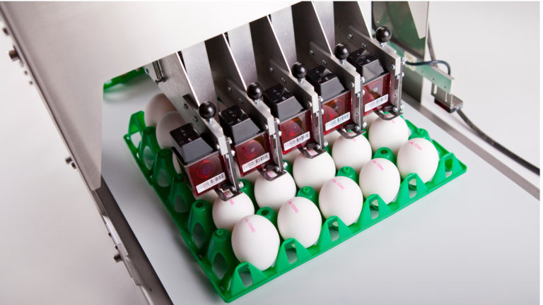 Egg printing