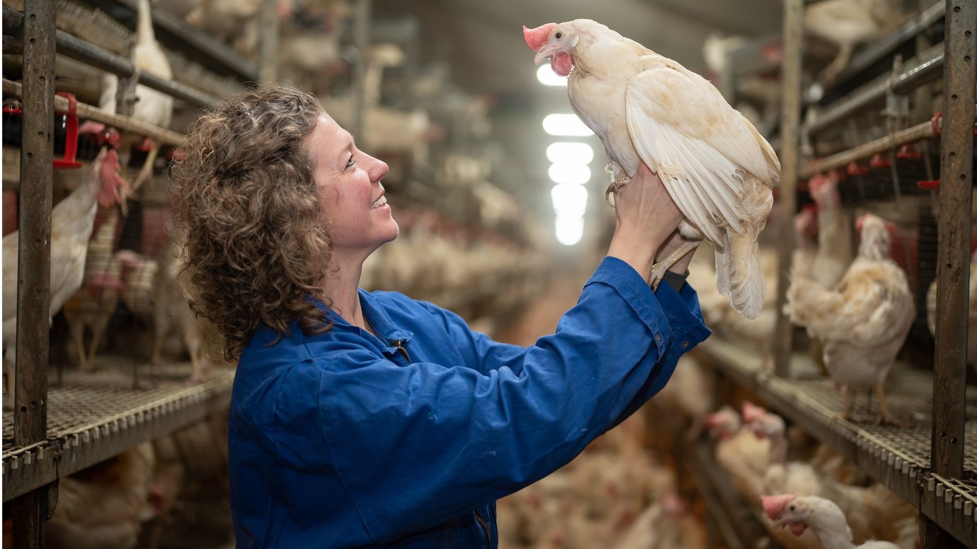 Sie und Ihr Unternehmen
