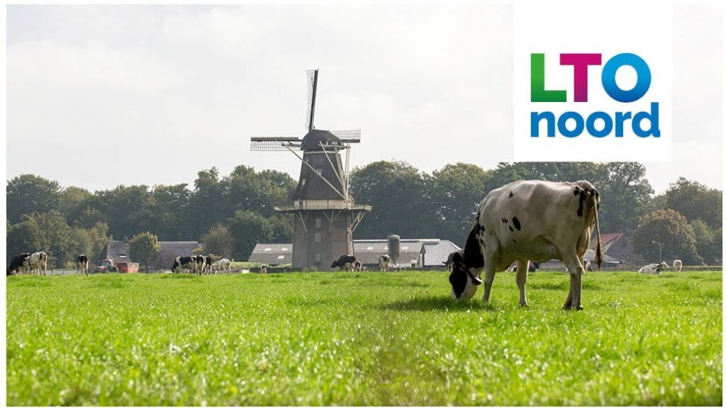 Dit doen wij allemaal voor jou