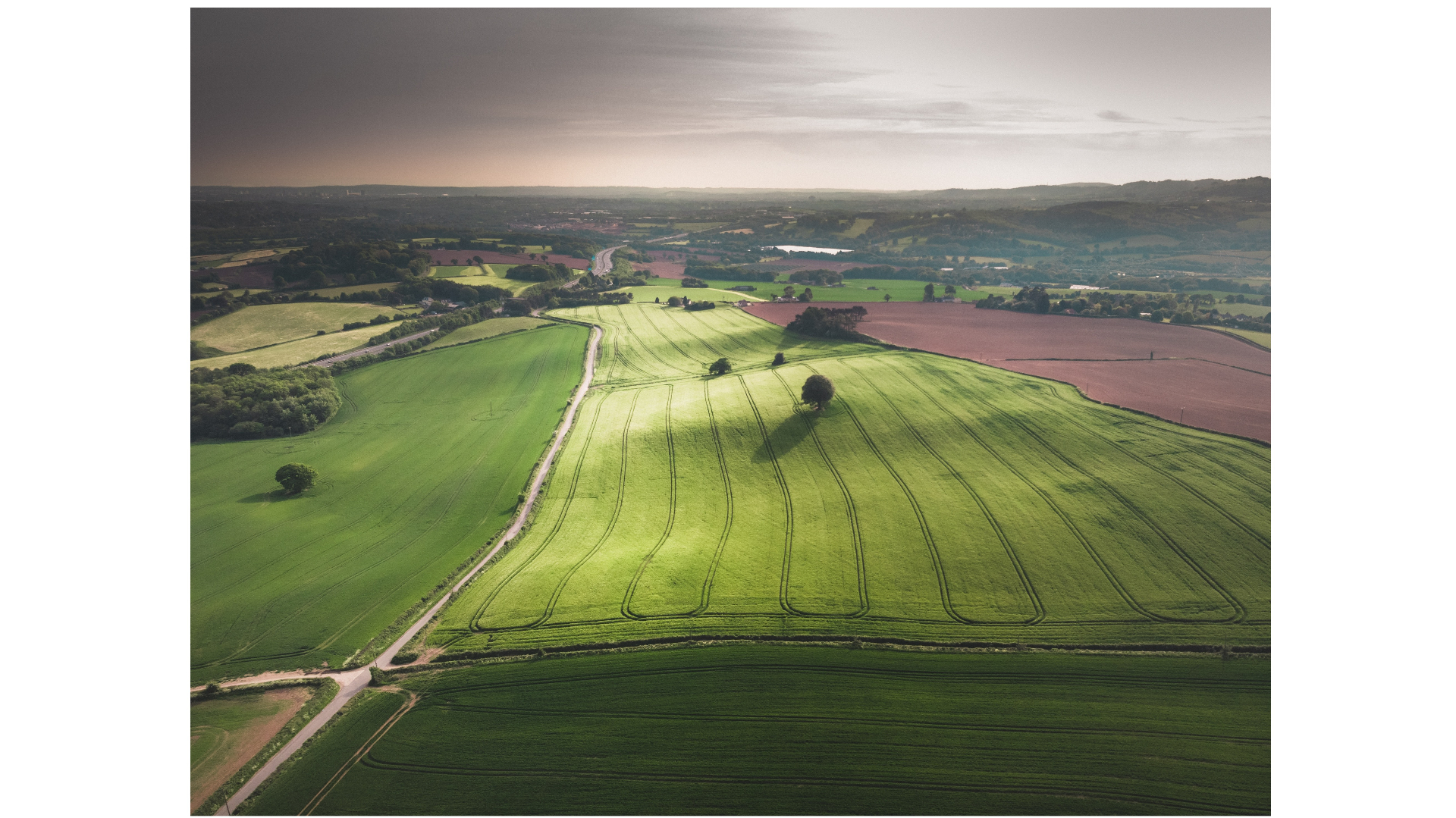 Aankomend vastgoedspecialist Landelijk en Agrarisch