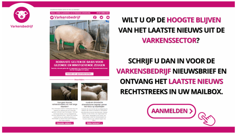 Nieuwsbrief Varkensbedrijf