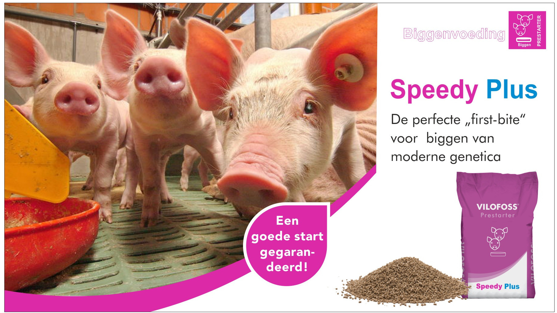 Speedy Plus Biggenvoeding