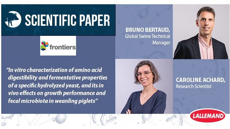 Lallemand Publishes New Research Demonstrating the Benefits of Hydrolyzed Yeast in Weanling Piglets