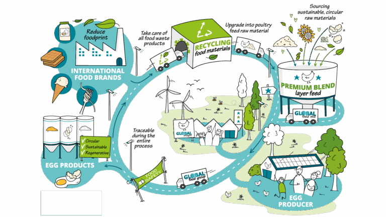 Duurzame voer en ei concepten
