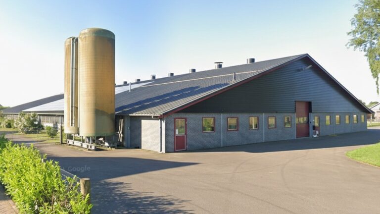 Nieuwbouw bewaarloods te Luttelgeest