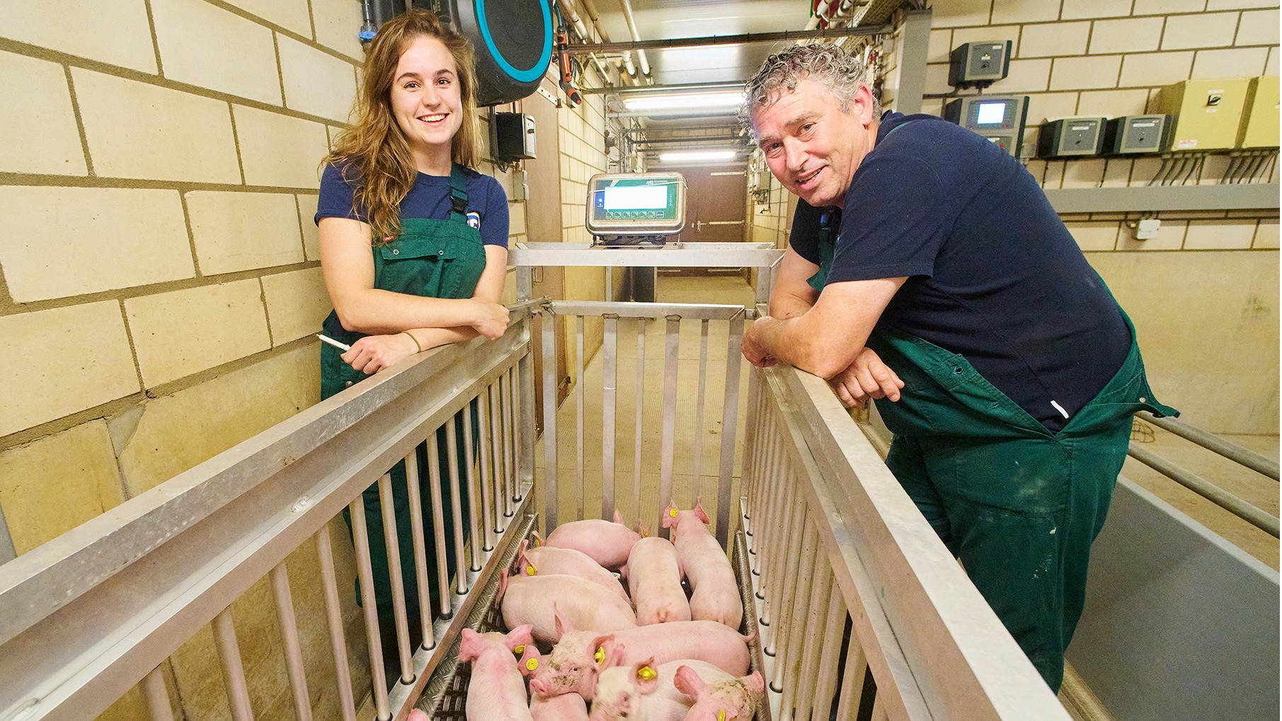 Voer Efficiëntie Factor