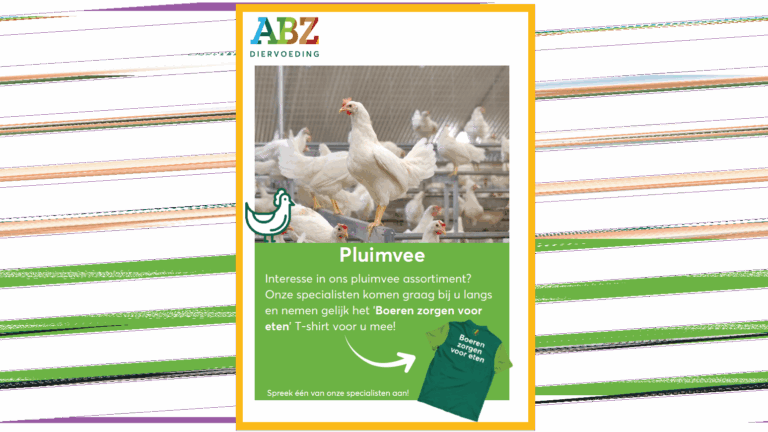 Pluimvee assortiment