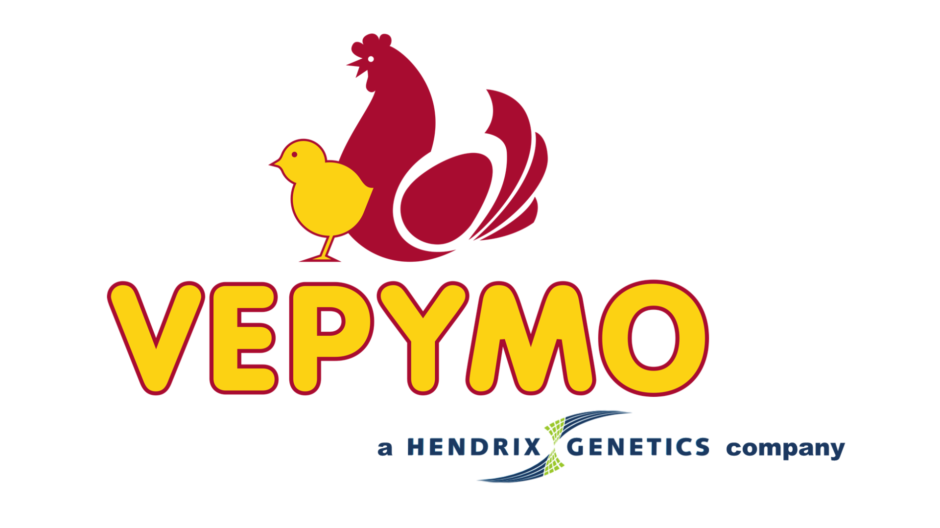 Vepymo Nederland