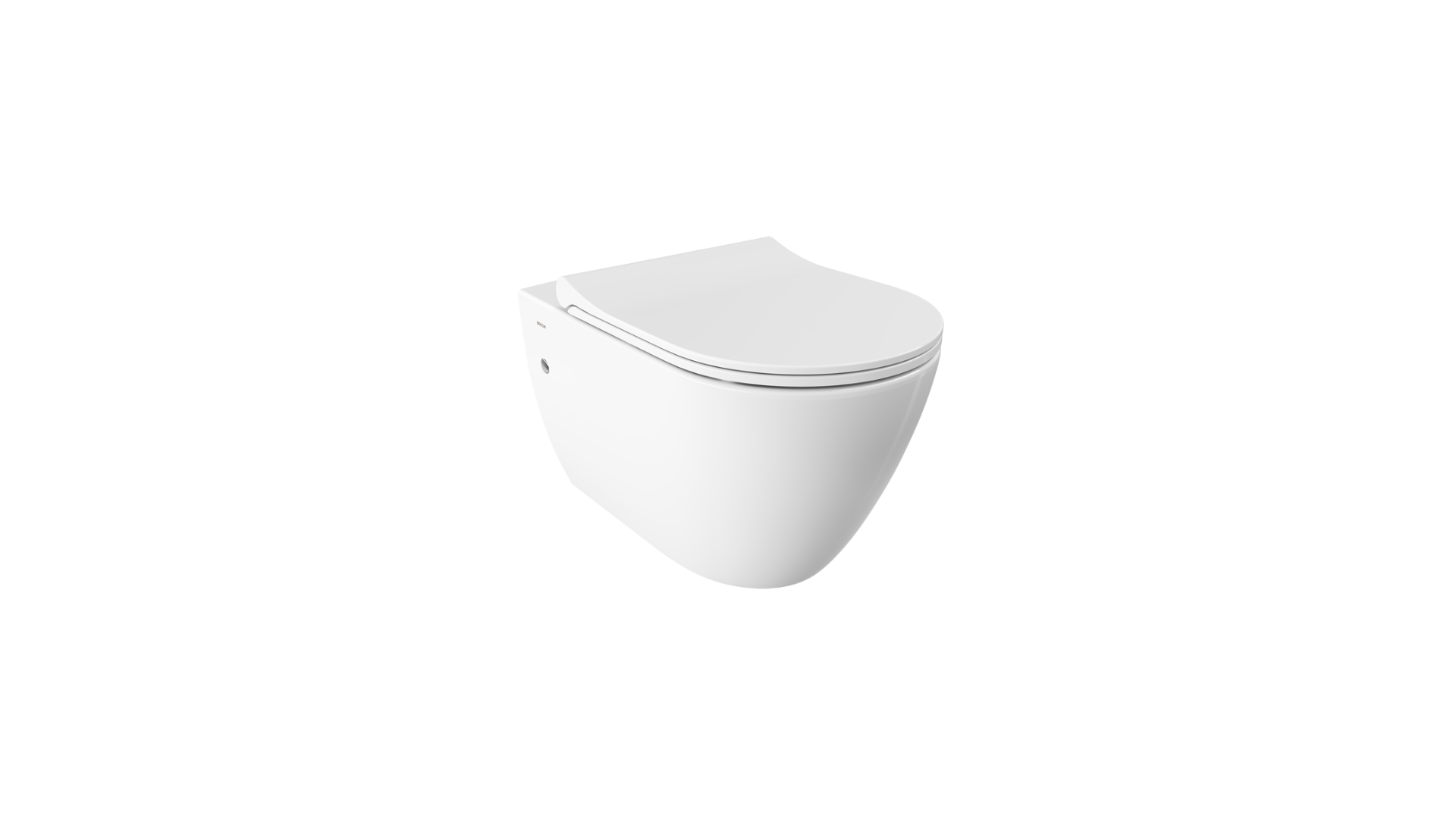 “keramisch wandclosetpot zonder spoelrand ,toiletzitting met RVS scharnieren.