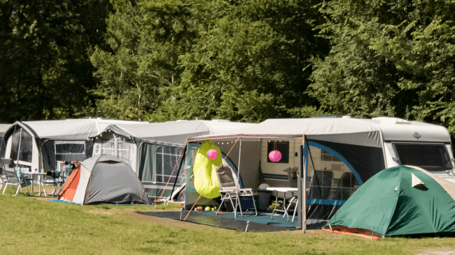 Het delen van kennis en informatie