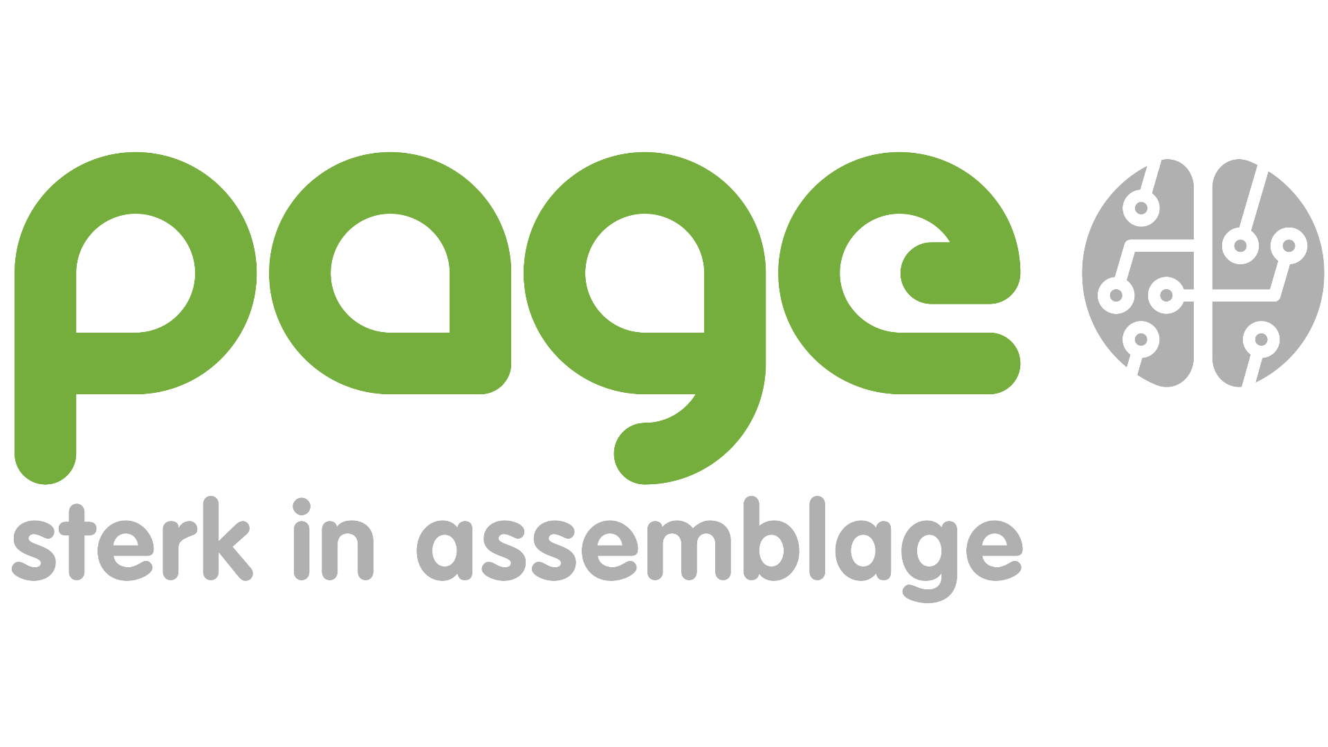 Page Electronica N.V.