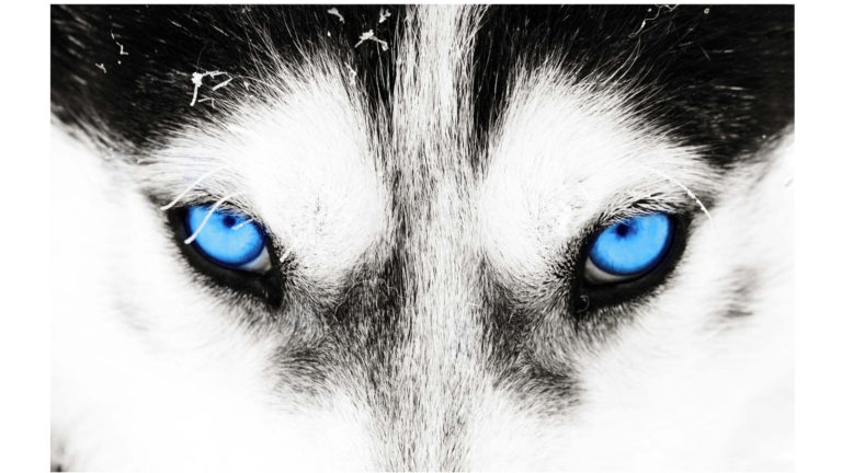 BlueLight-Technologie – Licht im Dunkel