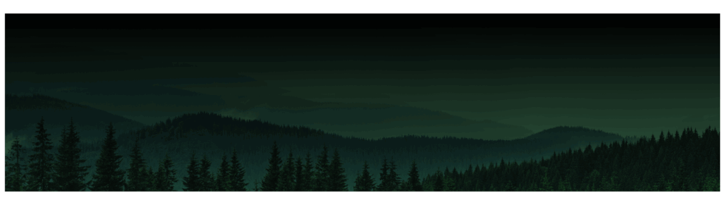 belle electronic group