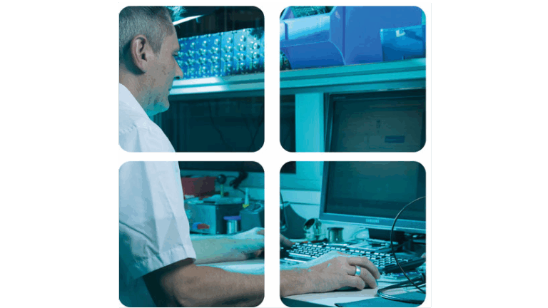 Software development