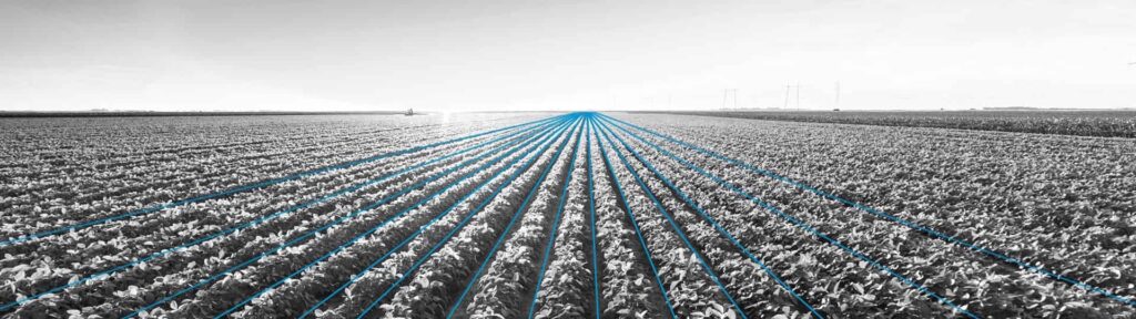 FSZ GmbH – Computing Solutions