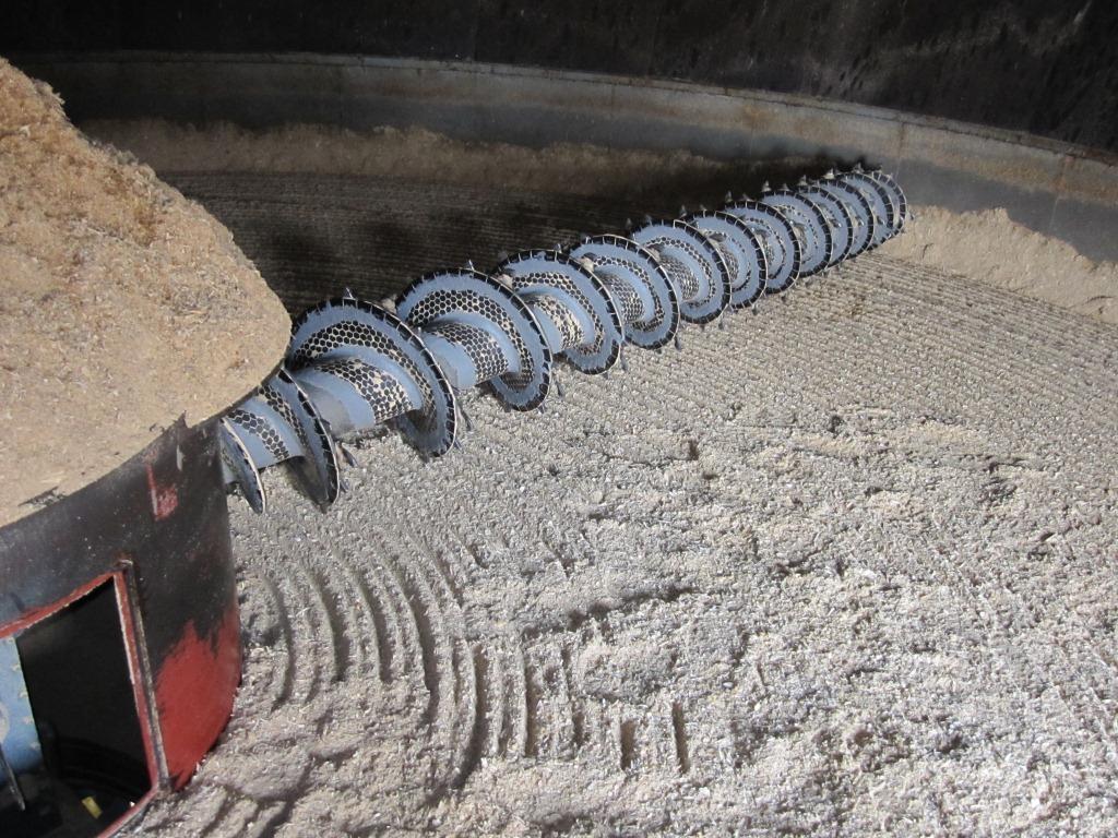 INFINITE SHIELD auf Schneckenbaum einer Umlaufschnecke