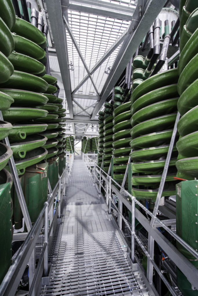 MULTOTEC Wendelscheider