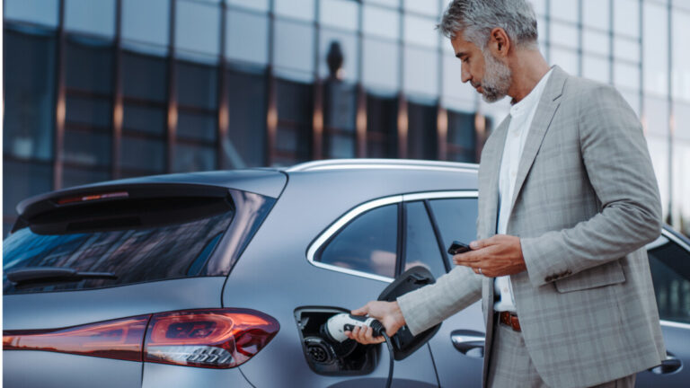 Business Sales Developer